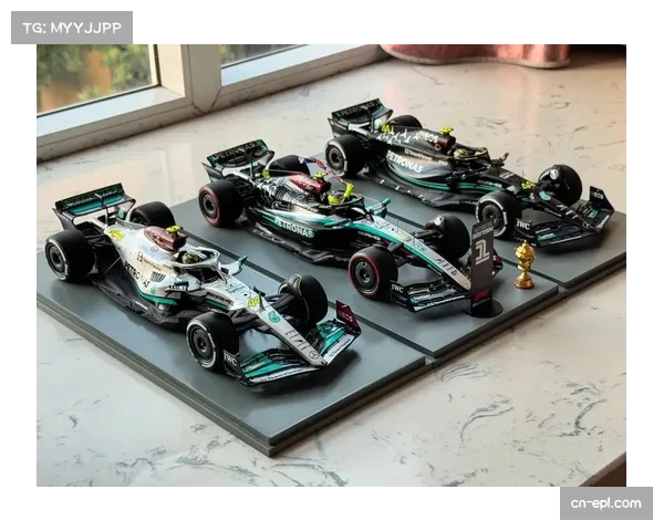 汉密尔顿与梅赛德斯车队联合捐赠100万英镑支持巴西环保项目